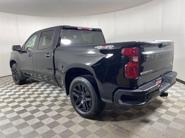 2023 Chevrolet Silverado 1500 Vehicle Photo in MEDINA, OH 44256-9001