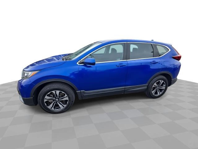 2022 Honda CR-V Vehicle Photo in WILLIAMSVILLE, NY 14221-2883