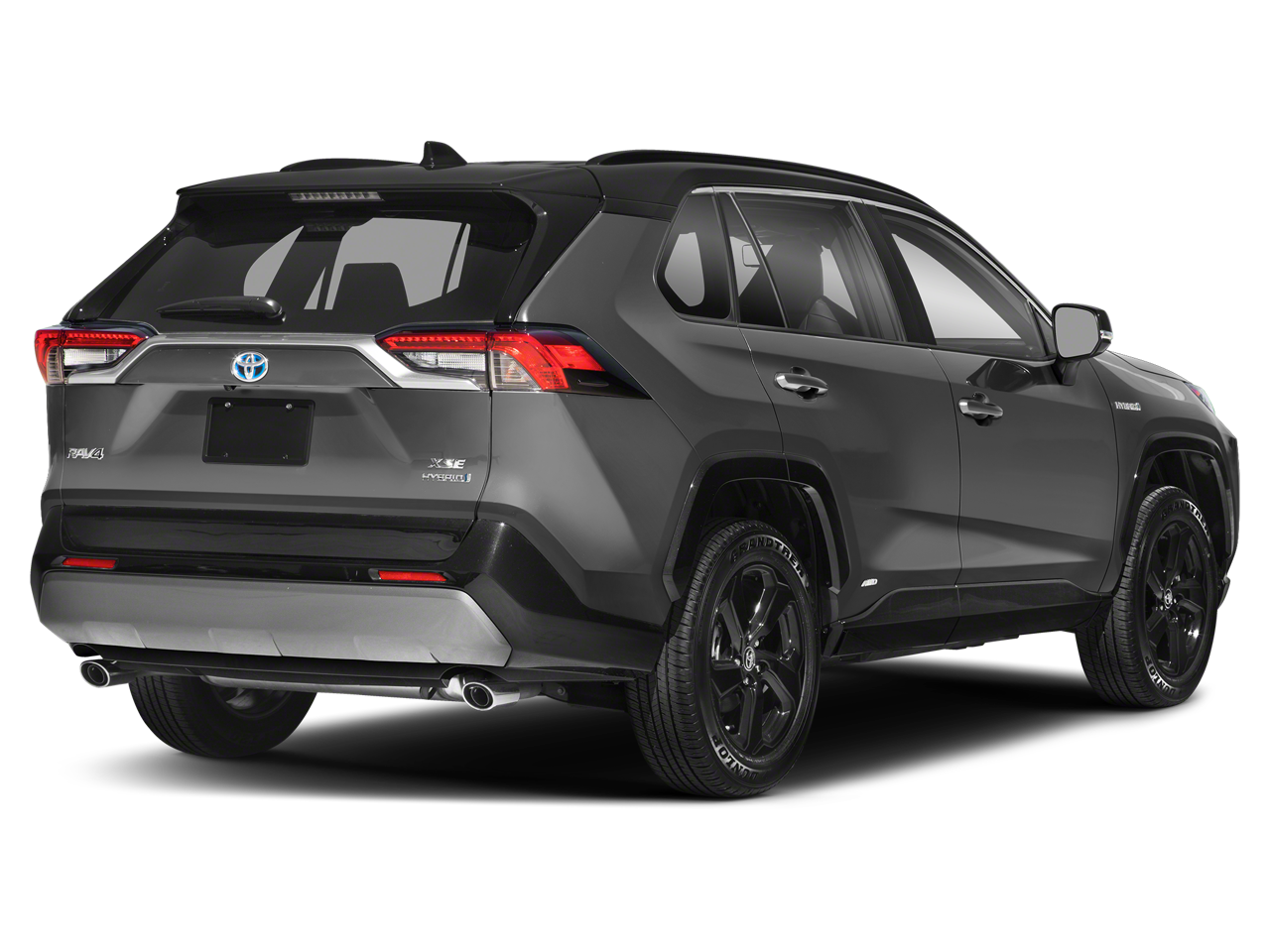 2019 Toyota RAV4 Vehicle Photo in Green Bay, WI 54304