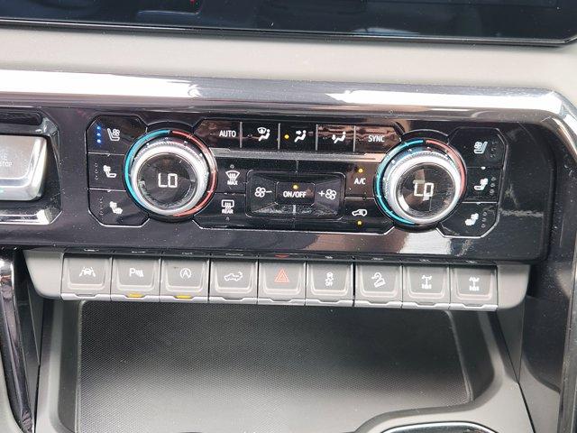 2024 GMC Sierra 1500 Vehicle Photo in Decatur, TX 76234