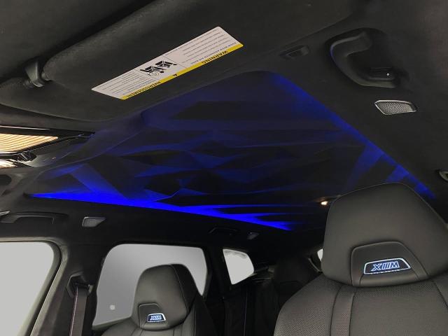 2025 BMW XM Vehicle Photo in Appleton, WI 54913