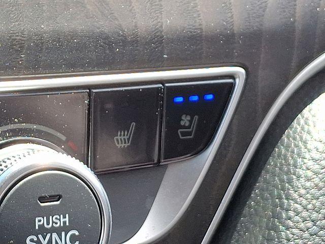 2019 Honda Accord Vehicle Photo in DANBURY, CT 06810-5034