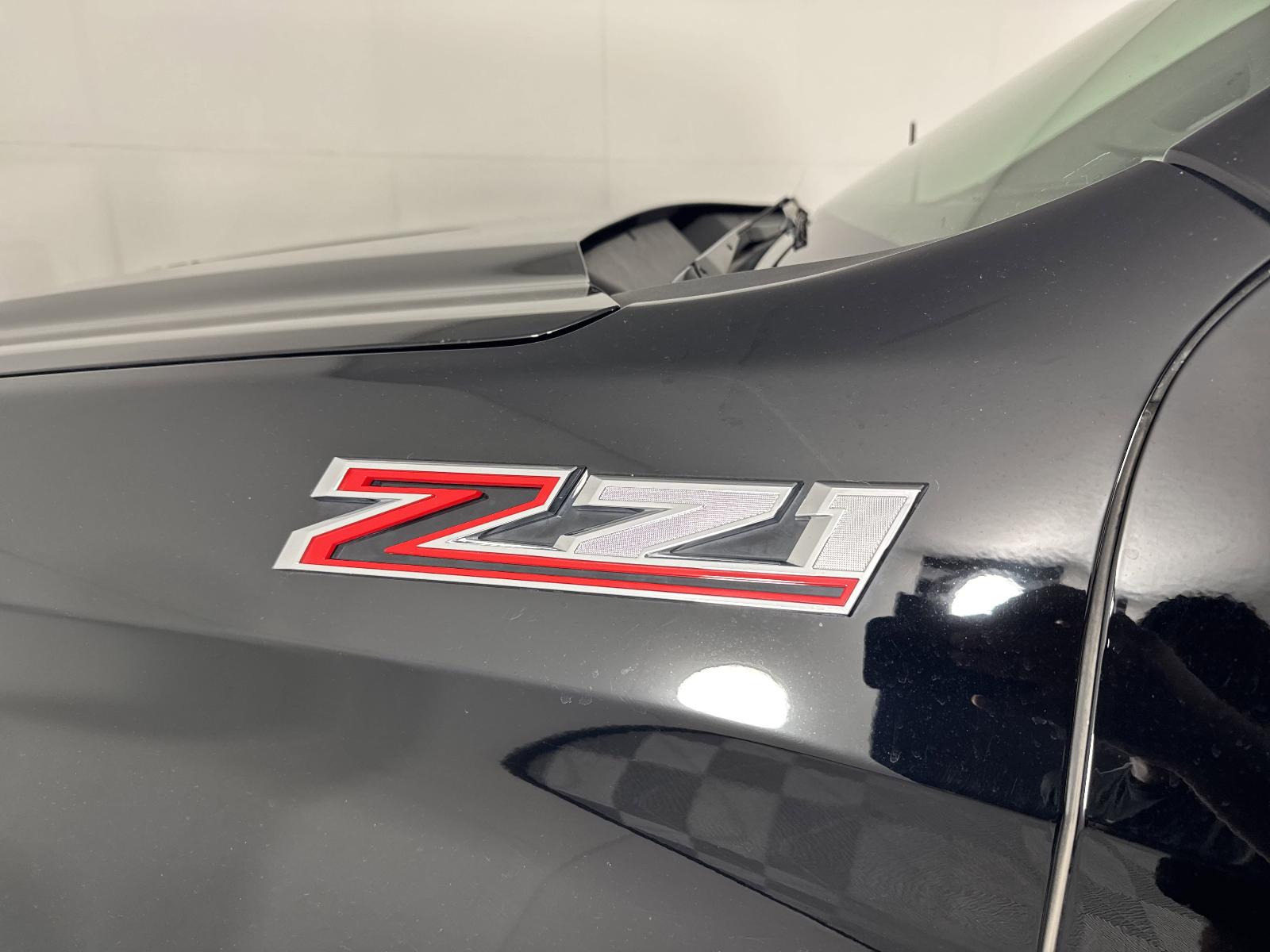 2020 Chevrolet Silverado 1500 Vehicle Photo in GEORGETOWN, TX 78626-7508