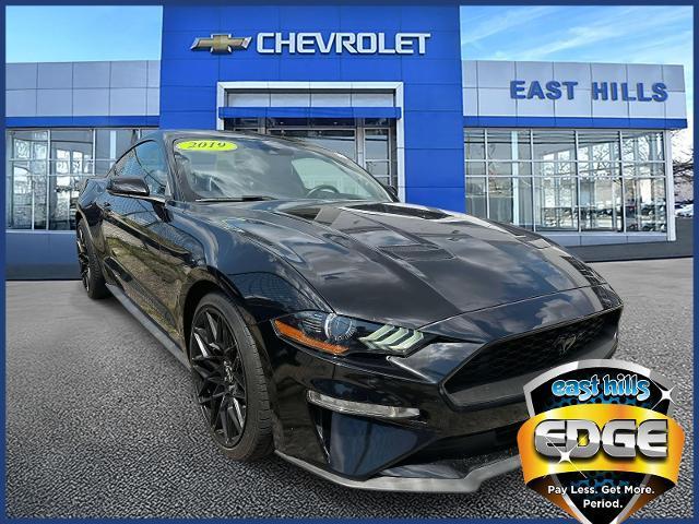 2019 Ford Mustang Vehicle Photo in Roslyn, NY 11576