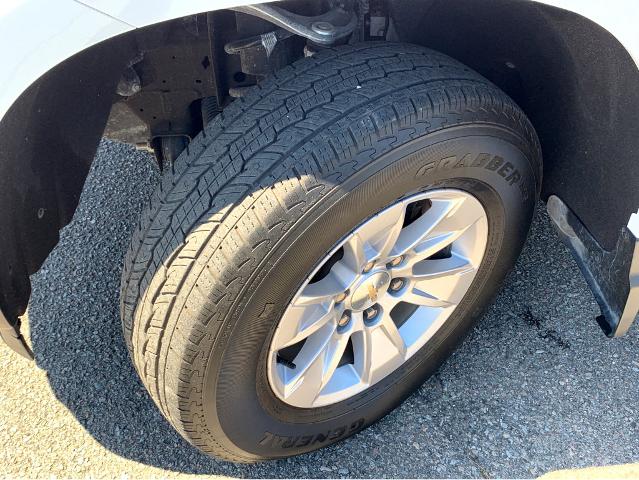 2023 Chevrolet Silverado 1500 Vehicle Photo in BEAUFORT, SC 29906-4218