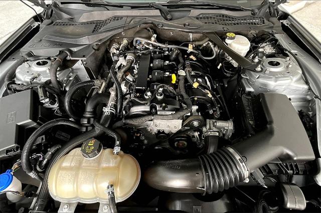 2023 Ford Mustang Vehicle Photo in Grapevine, TX 76051