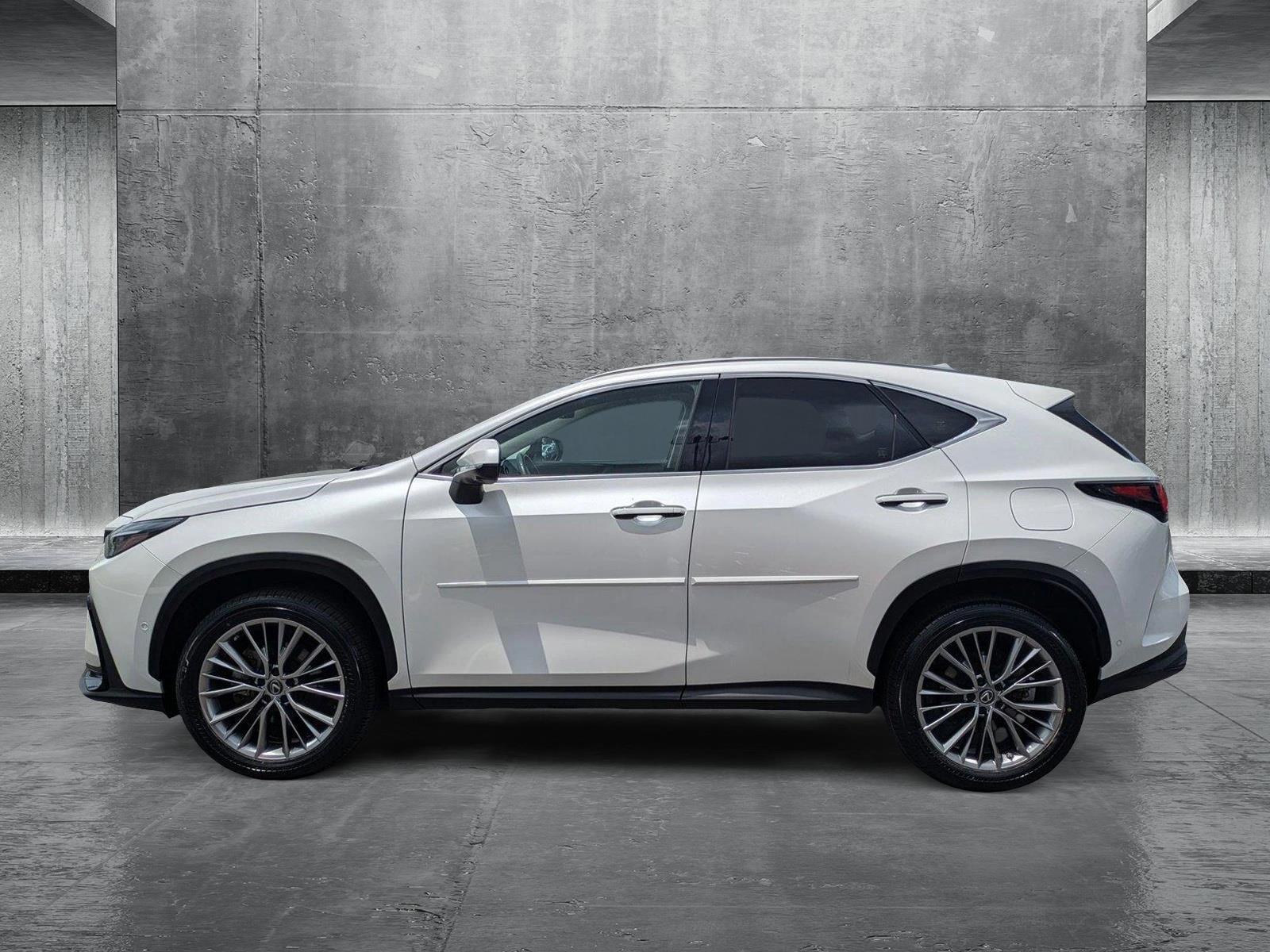 2022 Lexus NX 350h Vehicle Photo in Clearwater, FL 33761