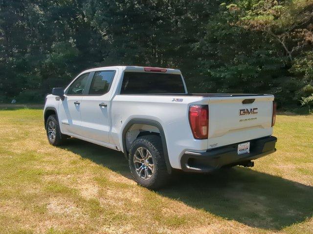 2024 GMC Sierra 1500 Vehicle Photo in ALBERTVILLE, AL 35950-0246