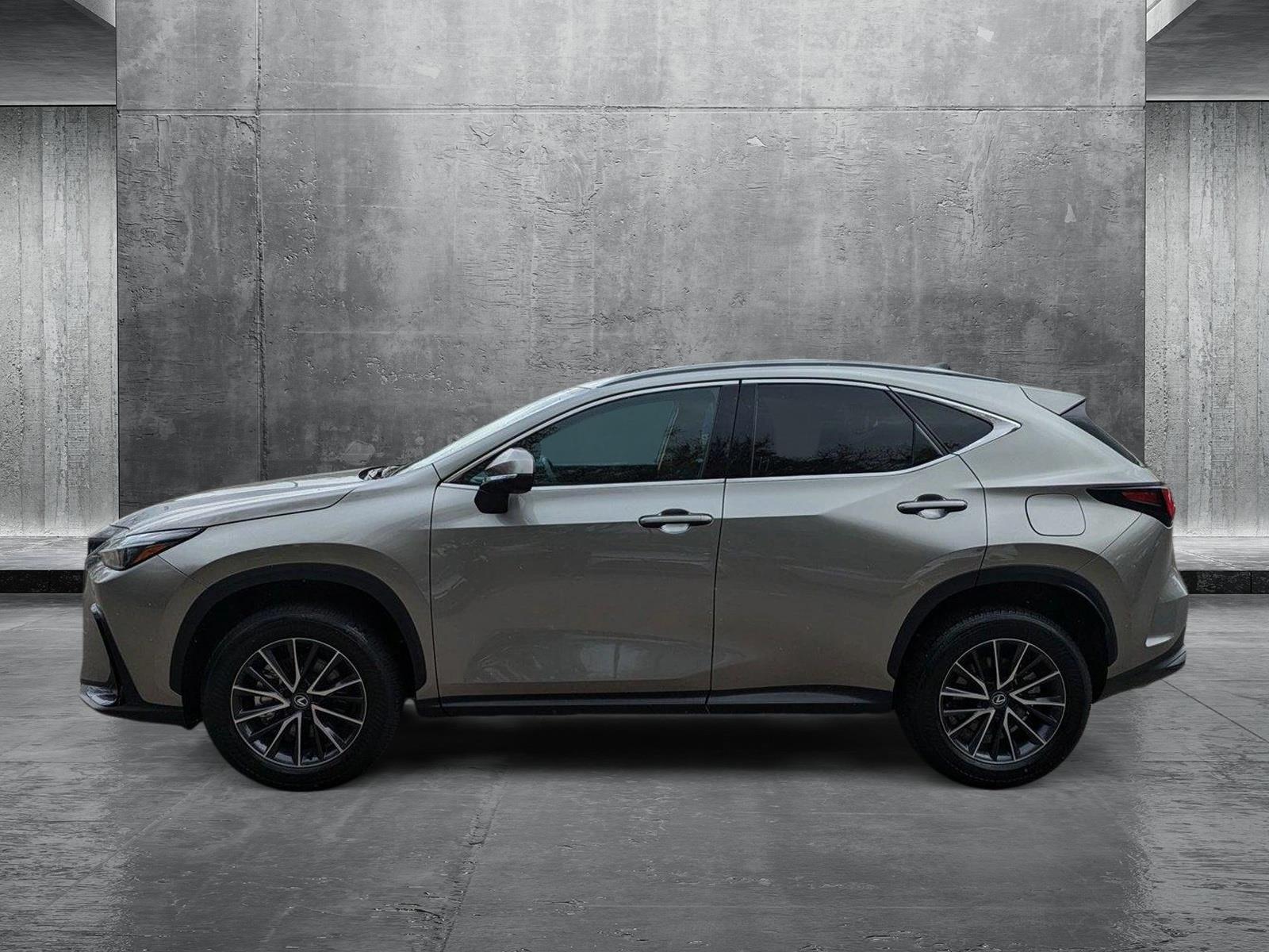 2024 Lexus NX 250 Vehicle Photo in Tampa, FL 33614