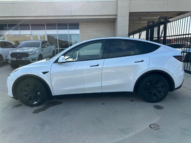 2023 Tesla Model Y Vehicle Photo in San Antonio, TX 78230