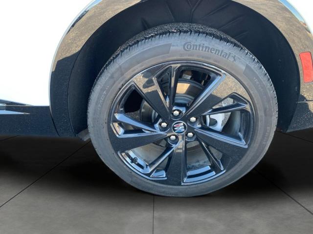 2024 Buick Envision Vehicle Photo in APPLETON, WI 54914-4656
