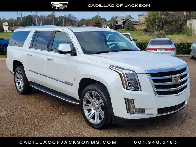 2020 Cadillac Escalade ESV Vehicle Photo in RIDGELAND, MS 39157-4406