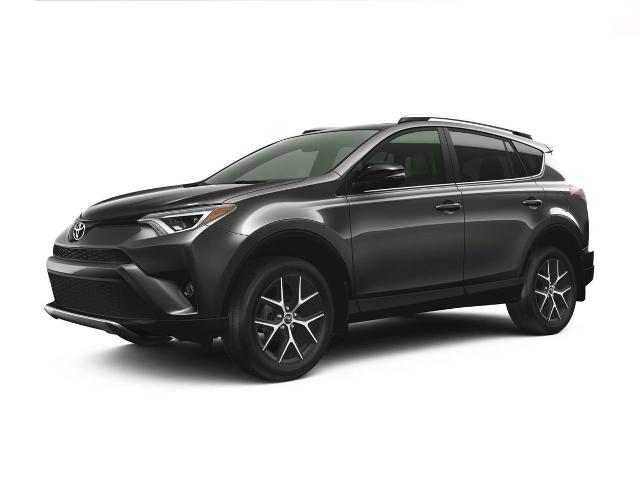 2018 Toyota RAV4 Vehicle Photo in MEDINA, OH 44256-9631