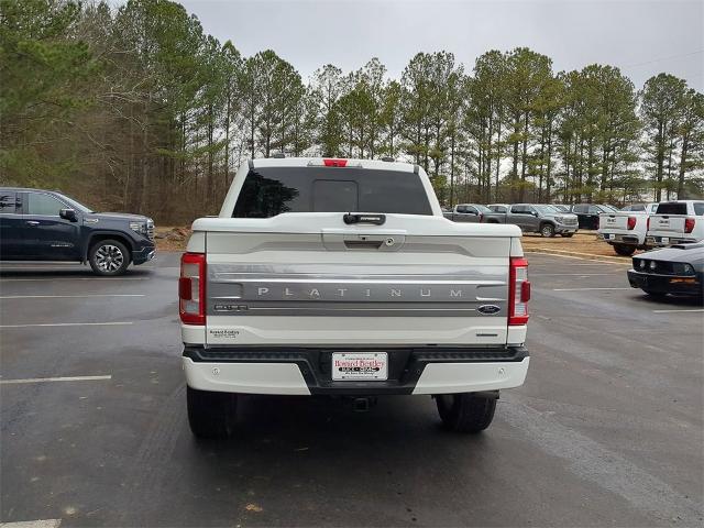 2021 Ford F-150 Vehicle Photo in ALBERTVILLE, AL 35950-0246