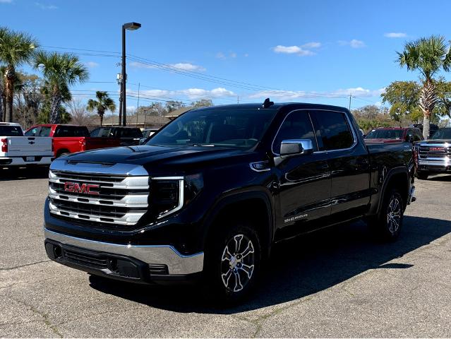 2025 GMC Sierra 1500 Vehicle Photo in BEAUFORT, SC 29906-4218