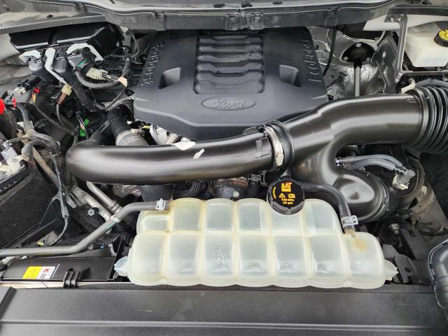 2021 Ford F-150 Vehicle Photo in HOUSTON, TX 77079