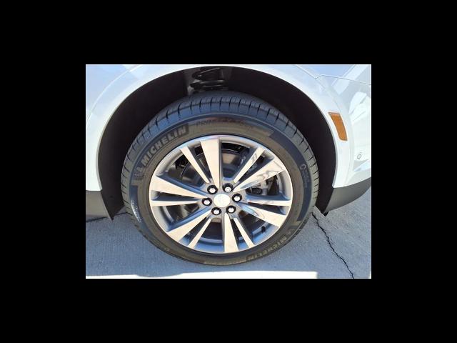 2025 Cadillac XT5 Vehicle Photo in Tampa, FL 33612