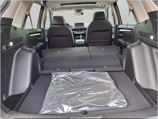 2026 Honda CR-V Vehicle Photo in Oshkosh, WI 54904
