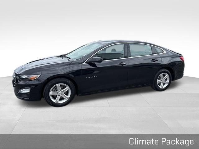 2023 Chevrolet Malibu Vehicle Photo in Fishers, IN 46038