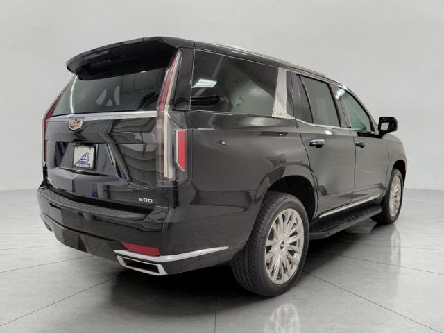 2022 Cadillac Escalade Vehicle Photo in NEENAH, WI 54956-2243