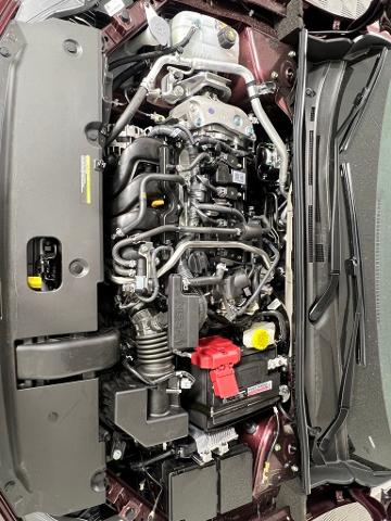 2025 Nissan Sentra Vehicle Photo in Tulsa, OK 74129