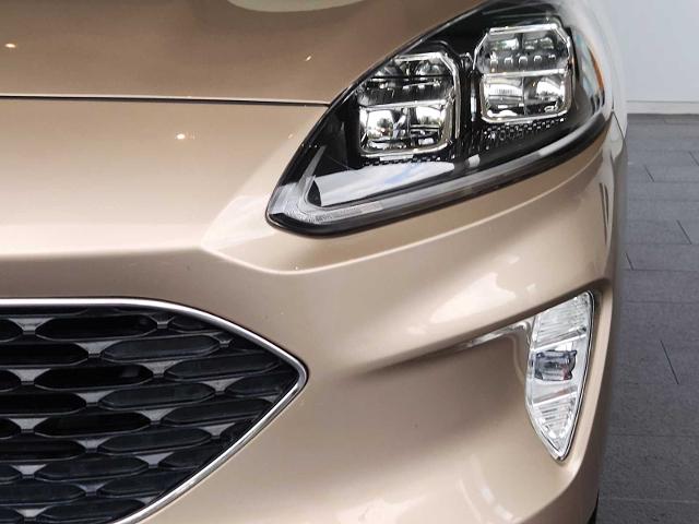 2020 Ford Escape Vehicle Photo in HOUSTON, TX 77079