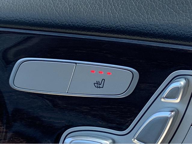 2020 Mercedes-Benz E-Class Vehicle Photo in BEAUFORT, SC 29906-4218