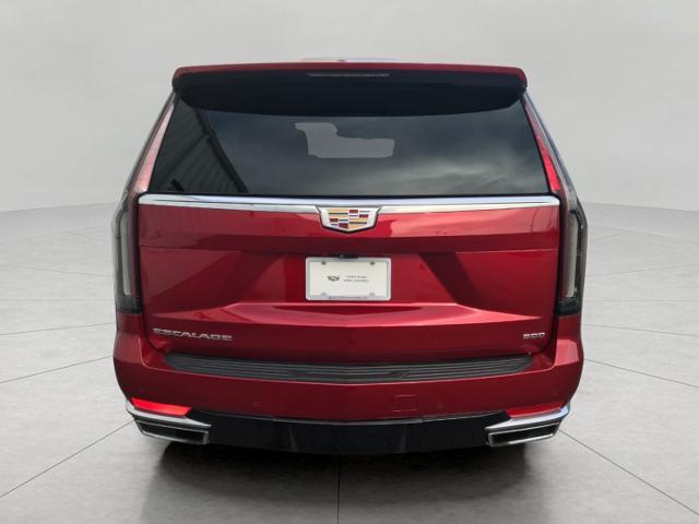 2022 Cadillac Escalade Vehicle Photo in GREEN BAY, WI 54303-3330