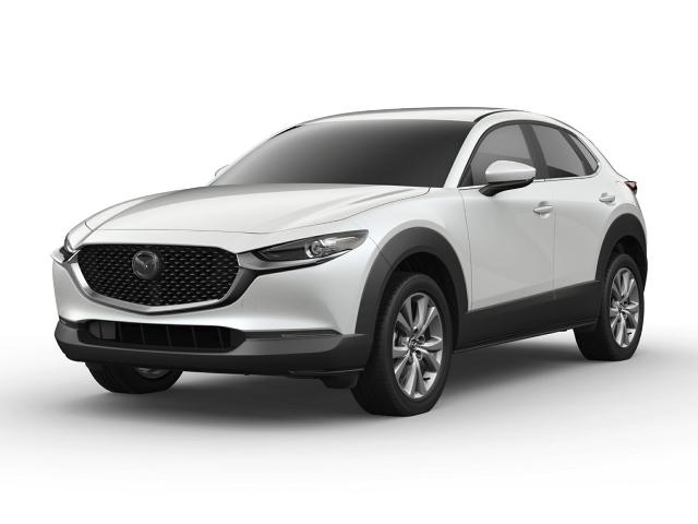 2021 Mazda CX-30 Vehicle Photo in Akron, OH 44312