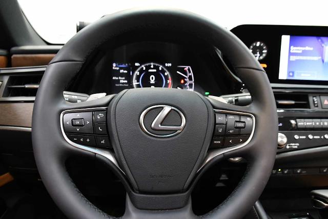 2024 Lexus ES 250 Vehicle Photo in DALLAS, TX 75235