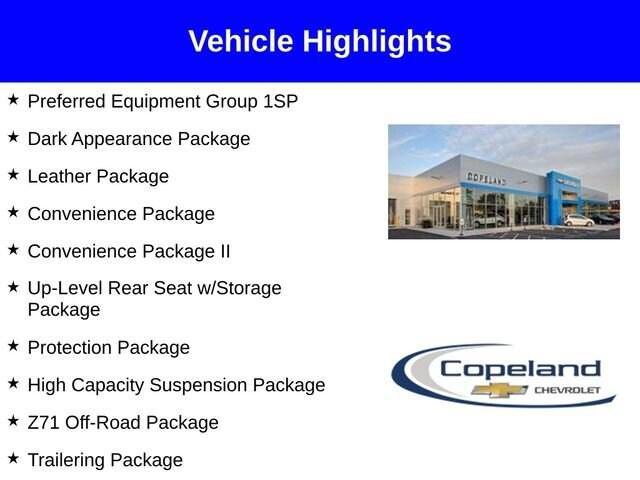 2025 Chevrolet Silverado 1500 Vehicle Photo in BROCKTON, MA 02301-7113