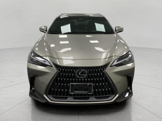 2024 Lexus NX 250 Vehicle Photo in Appleton, WI 54913