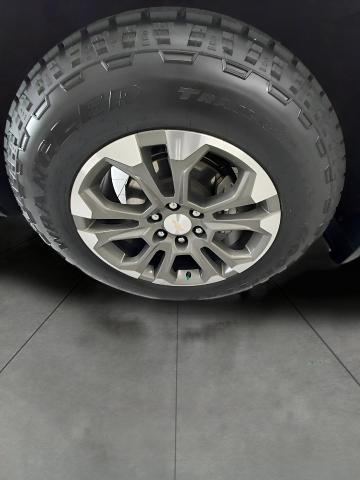 2023 Chevrolet Silverado 1500 Vehicle Photo in OSHKOSH, WI 54904-7811