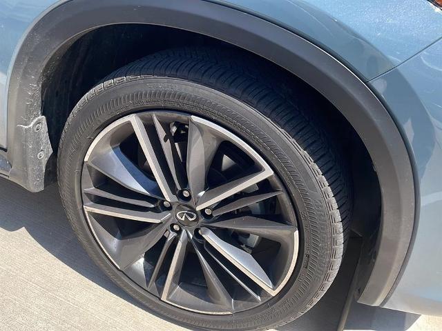 2024 INFINITI QX50 Vehicle Photo in San Antonio, TX 78230