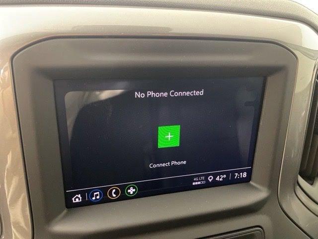 2025 Chevrolet Silverado 1500 Vehicle Photo in PHOENIX, AZ 85014-3381