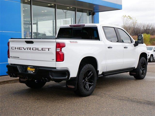 2020 Chevrolet Silverado 1500 Vehicle Photo in MAPLEWOOD, MN 55119-4794