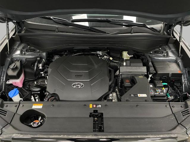 2025 Hyundai PALISADE Vehicle Photo in Appleton, WI 54913