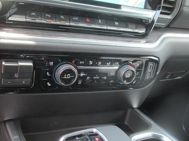 2025 Chevrolet Silverado 1500 Vehicle Photo in LEESBURG, FL 34788-4022