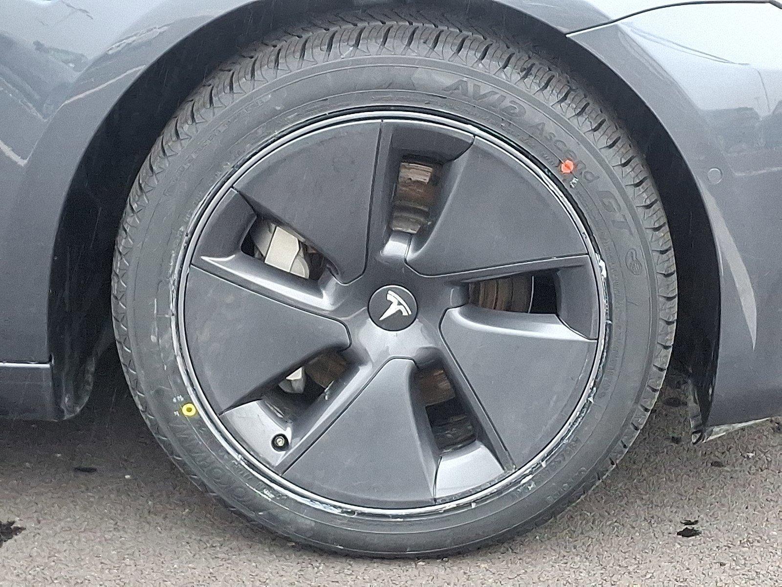2022 Tesla Model 3 Vehicle Photo in Harrisburg, PA 17111