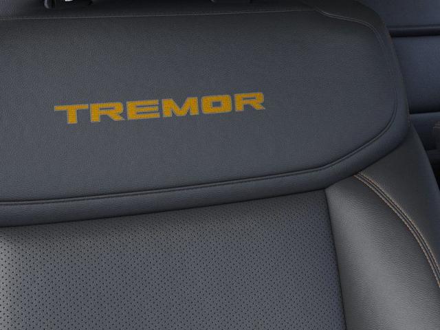 2025 Ford Expedition Vehicle Photo in Weatherford, TX 76087