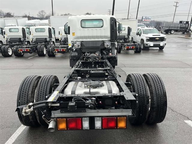 2024 Chevrolet Low Cab Forward 5500 HG Vehicle Photo in ALCOA, TN 37701-3235