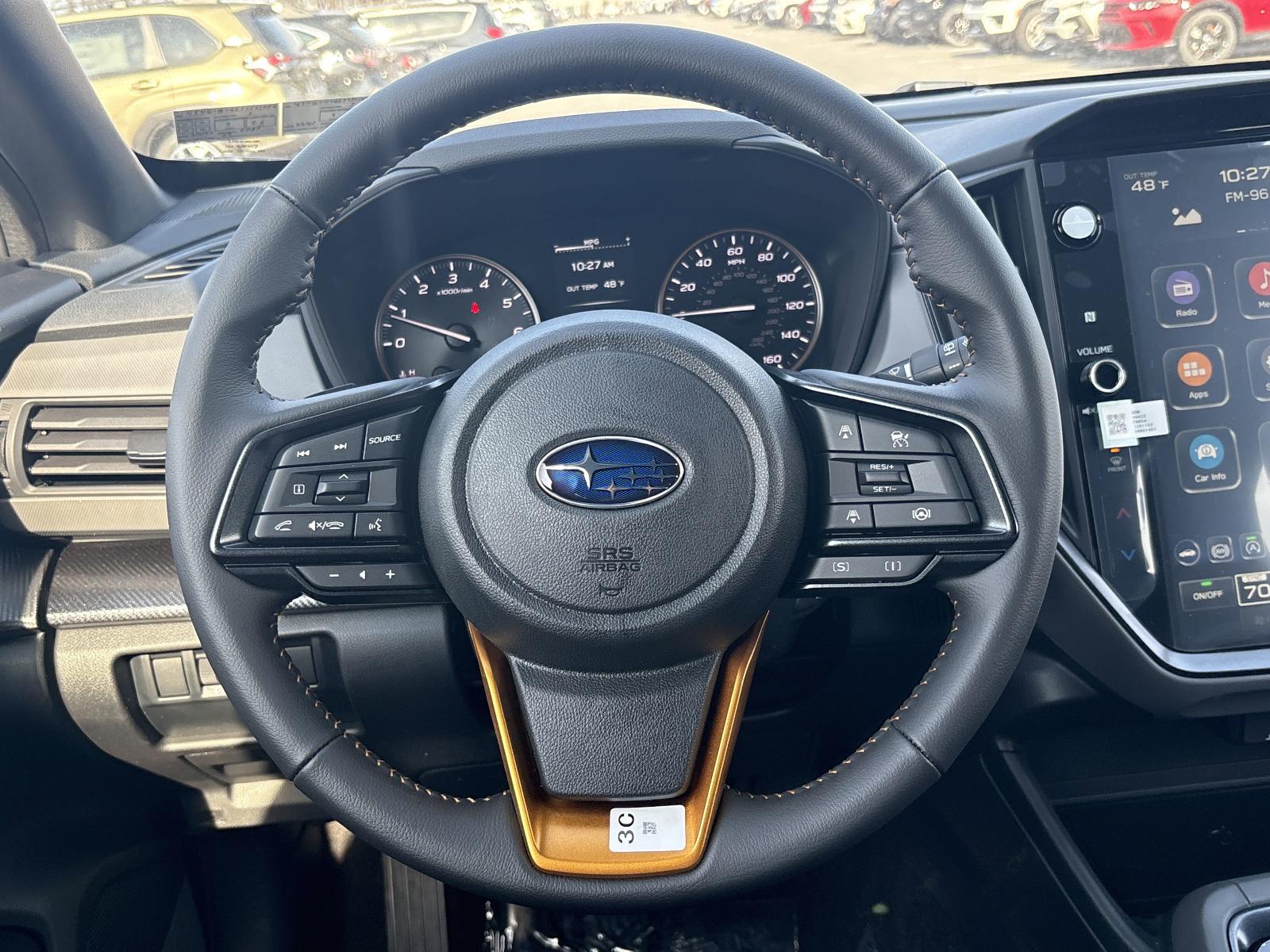 2025 Subaru Crosstrek Vehicle Photo in Mechanicsburg, PA 17050