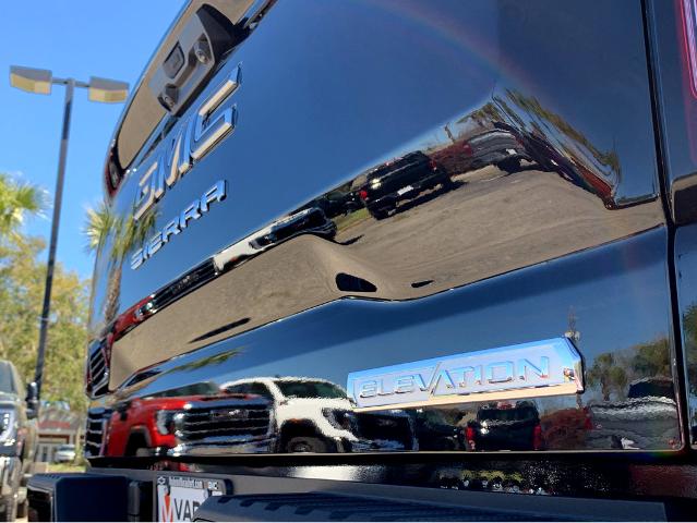 2025 GMC Sierra 1500 Vehicle Photo in BEAUFORT, SC 29906-4218