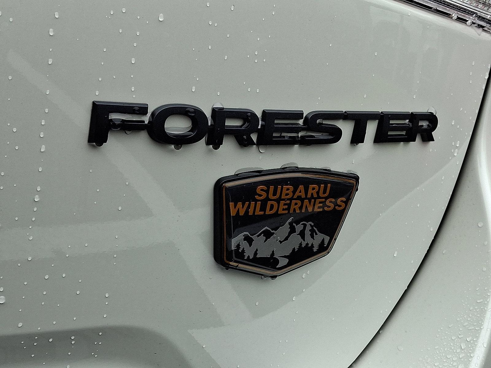 2025 Subaru Forester Vehicle Photo in Easton, PA 18045