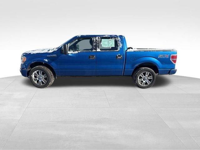 2014 Ford F-150 Vehicle Photo in MEDINA, OH 44256-9631