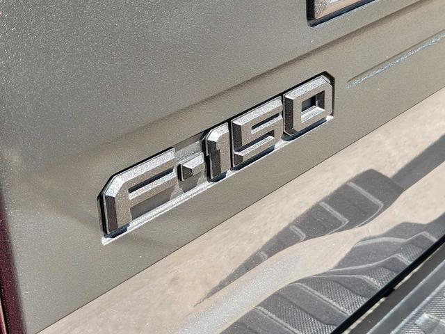 2025 Ford F-150 Vehicle Photo in DENTON, TX 76210-9321