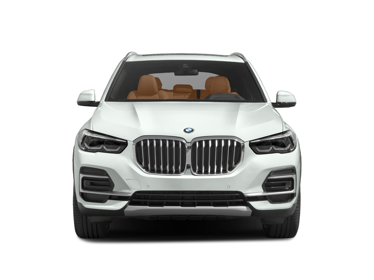2023 BMW X5 xDrive40i Vehicle Photo in San Antonio, TX 78230