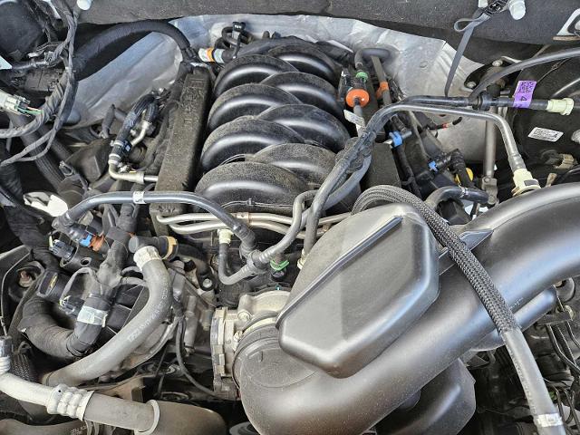 2020 Ford F-150 Vehicle Photo in AUSTIN, TX 78717