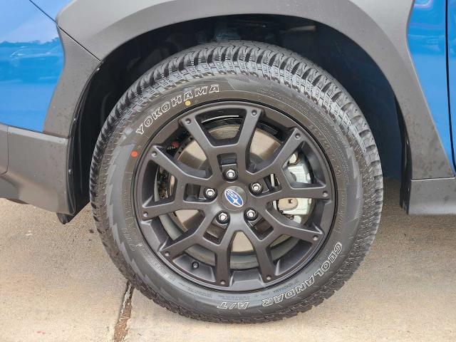 2025 Subaru Crosstrek Vehicle Photo in DALLAS, TX 75209