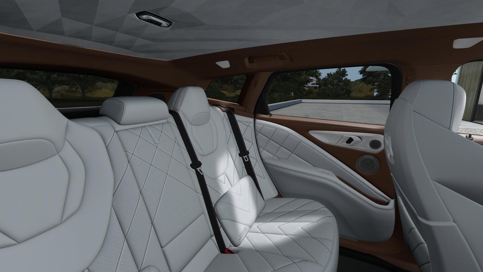 2025 BMW XM Vehicle Photo in GRAPEVINE, TX 76051
